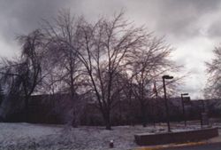 Seasonal View of Campus