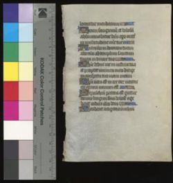 Book of Hours [Fragment]
