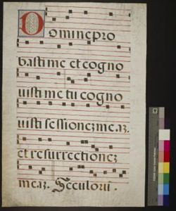 Gradual [Fragment]