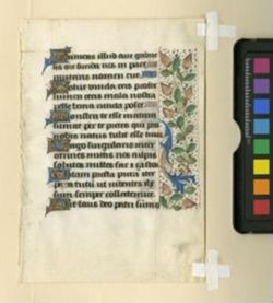 Book of Hours [Fragment]