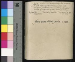 cow_004_001-00322.ptif