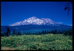 Mount Shasta from WSW  Cushman EK