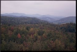 View north from tower on top of mountain at Montpelier, VT. - Fall colors in Greens Mtns.