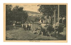 Fiuggi postcard