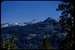S E toward Pickett and Hawkins peaks from Calif. 89 near El Dorado - Alpine co. line