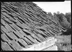 Curly shingle roof, west of Nashville, 1931