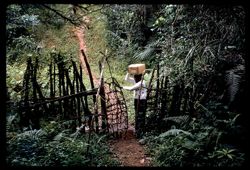 Kimmeh enters the town gate