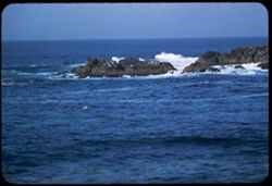 Pacific at Seal Rocks Monterey Peninsula