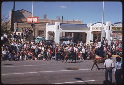 Rodeo parade Tucson
