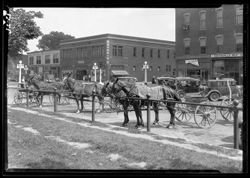 Horses at hitchrack, Martinsville court house