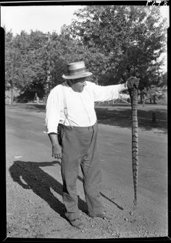 Oliver Neal and snake of neg. 34