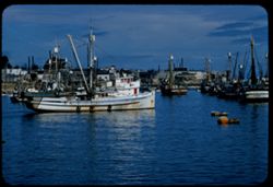 Fishing boats in Monterey harbor