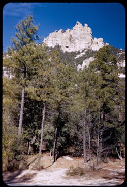Rocky comb above Bear Canyon Picnic area along Mt. Lemmon Road