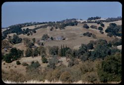 Amador county Hills above Drytown