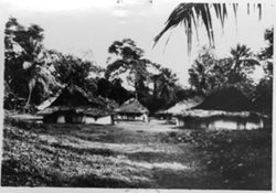 Houses with thatched roofs