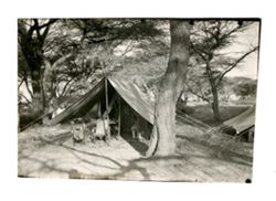 Tents at hunting camp