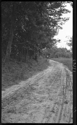 Road from Jamestown Island, Aug. 30, 1910, 2:50 p.m.