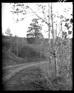 Road up to Linke hilltop, south of town, Road to Village scene