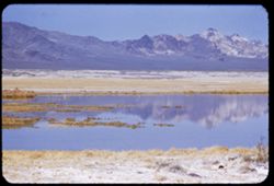 Black Mtns. seen across desert lake near Tecopa, Inyo Co.