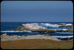 Surf around bird rocks Point Pinos Monterey Peninsula