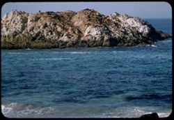 Seal Rocks Monterey Peninsula