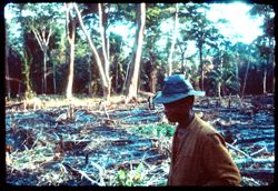 Man inspecting a burnt field