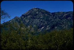 Crown of Mount St. Helena from Cal 128 on South
