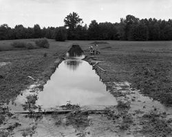 Flooded Trenches