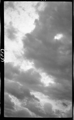 Clouds, April 21, 1911, 3:30 p.m., clouds with tops of trees