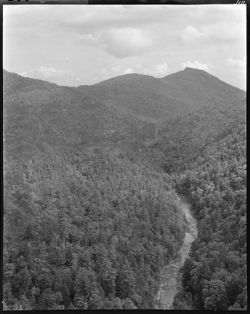 Mountain scene, perpendicular, stream at side, North Carolina (orig. neg.)