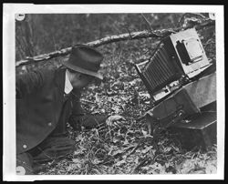 Hohenberger photographing flower