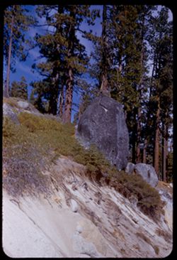 Granite boulders and tall pines above Calif. Hwy 49 on east slope of Yuba Pass. Sierra county - California.
