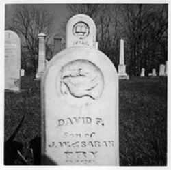Dove - Olive Branch David. Sarah John Laura Jacob