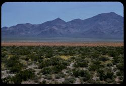 East toward McCullough Range extreme south Nevada