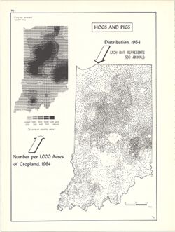 Hogs and pigs distribution, 1964