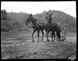 Charley Wilson working on road