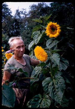 Tony Broshe and his big sunflower. Jackson Park