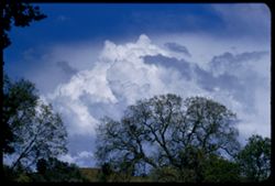 Clouds aboe hills of Amador county 2 or 3 mi south of lone