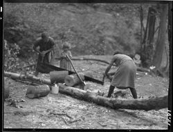 Women sawing wood, McClary grove [Bill Petro's family]
