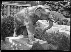 Bronze elephant of Irwin Gardens