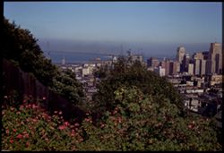 The Bay, the Bridge, and the Business District, from Russian Hill, S.F.