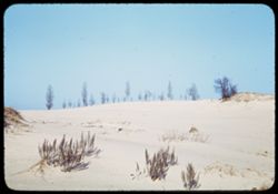 Sand dunes near State Park - April 1941