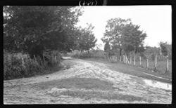 Road near Yorktown Soldier's Cemetery, Aug. 28, 1910, 4:20 p.m.