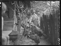 Series of shots at Grandma Barnes'--Mrs. Shulz, turkeys