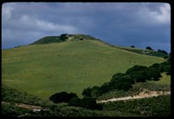 Green hill above the Carmel valley