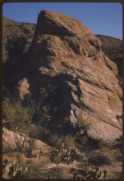 Tilted rock at Tanque Verde observation point Saguaro Natl Mon. near Tucson