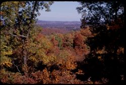 Ozark panorama a few miles south of Hollister, Mo. View is northeastward at noon.