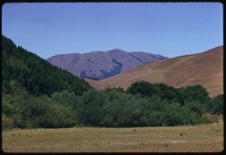 Black Mtn. Seen from road near Nicasio Marin co.