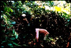 Two adults in bush