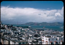 Toward Marin and the Golden Gate from Telegraph Hill San Francisco Cushman  San Francisco